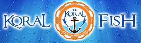 KORAL SH.P.K